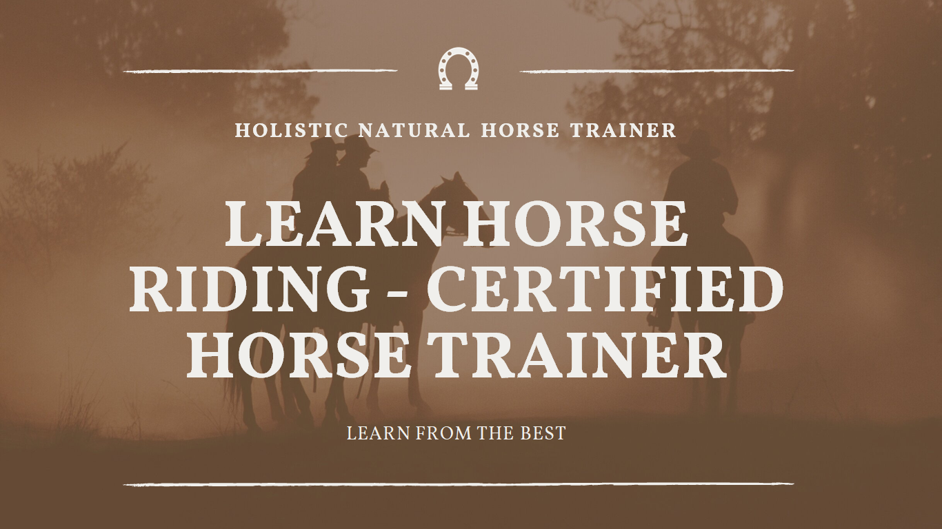 Learn horse riding - Certified Horse Trainer