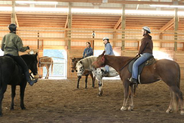 Natural horsemanship training tips