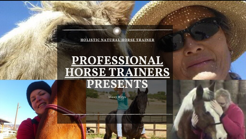 Professional horse trainers presents