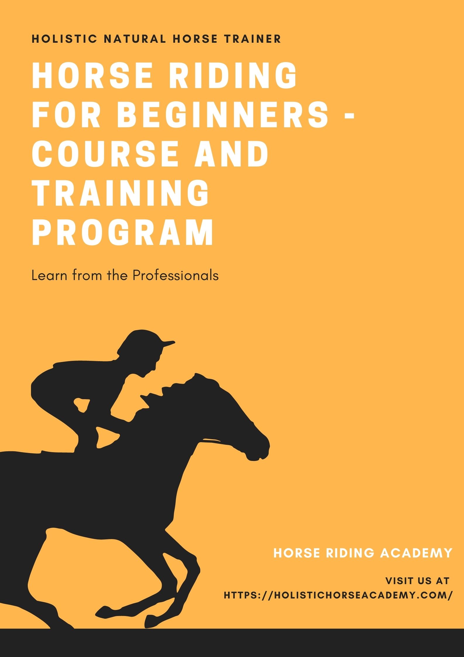 Horse Riding for Beginners - Course and Training Program