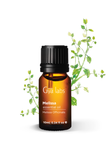 Melissa Oil's Best Uses and Benefits.