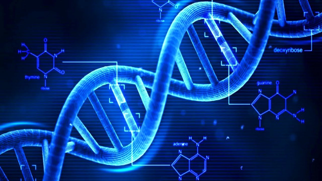 DNA Sequencing Market Is Estimated To Witness High Growth Owing To Technological Advancements