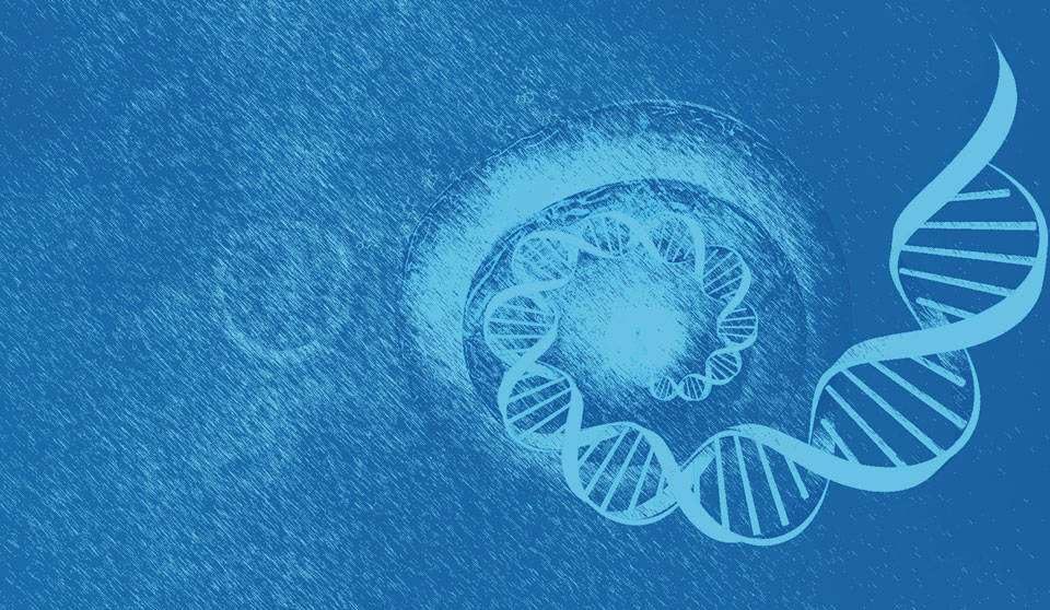 Optic Devices Will Boost Single Cell Genome Sequencing Market Growth 