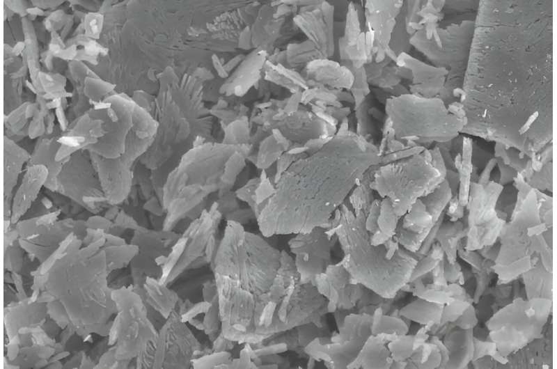 Global Polymeric Biomaterials Revolutionizing Healthcare 