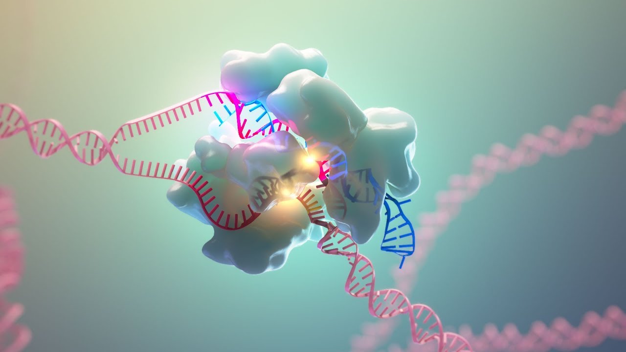 Crispr Genomic Cure Market Is Estimated To Witness High Growth Owing To Opportunity Of Genome Editing For Complex Diseases