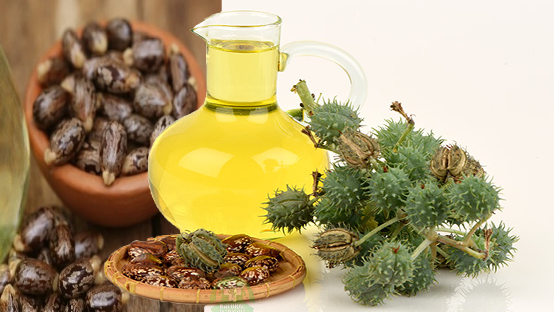Castor Oil Derivatives Market Is Expected To Witness Steady Growth Owing To Wide Industrial Applications