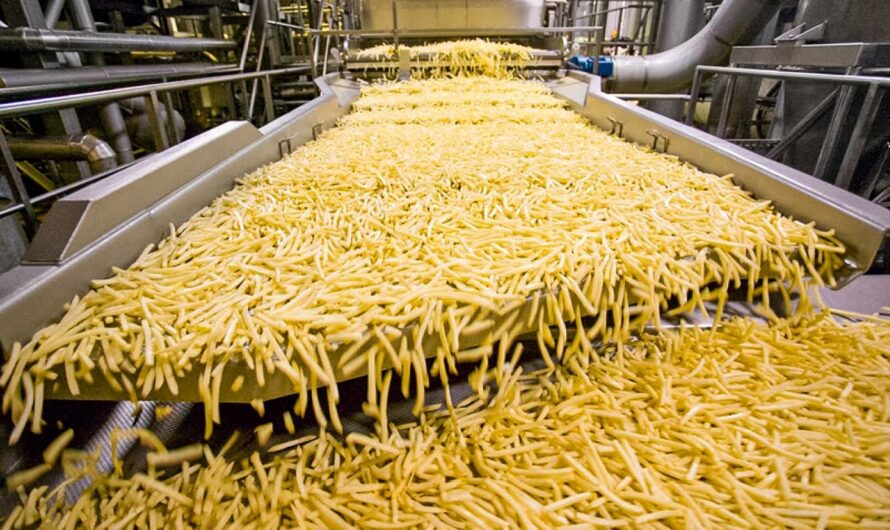 The French Fries Processing Machine Market Size Trends And Growth Analysis