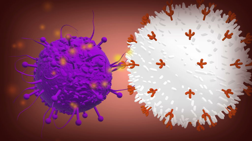The Personalized Cell Therapy Market Is Expected To Be Flourished By Growing Prevalence Of Cancer Diseases