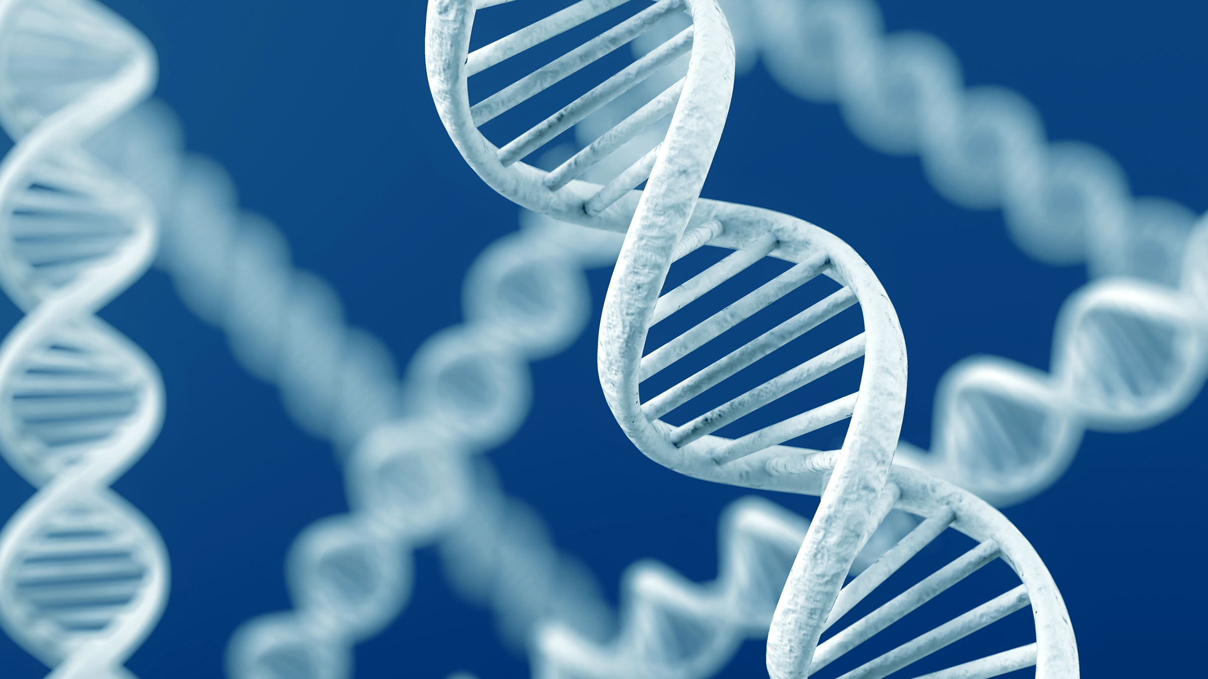DNA Synthesizer Market is Estimated To Witness High Growth Owing To Rising Focus on Gene Synthesis 