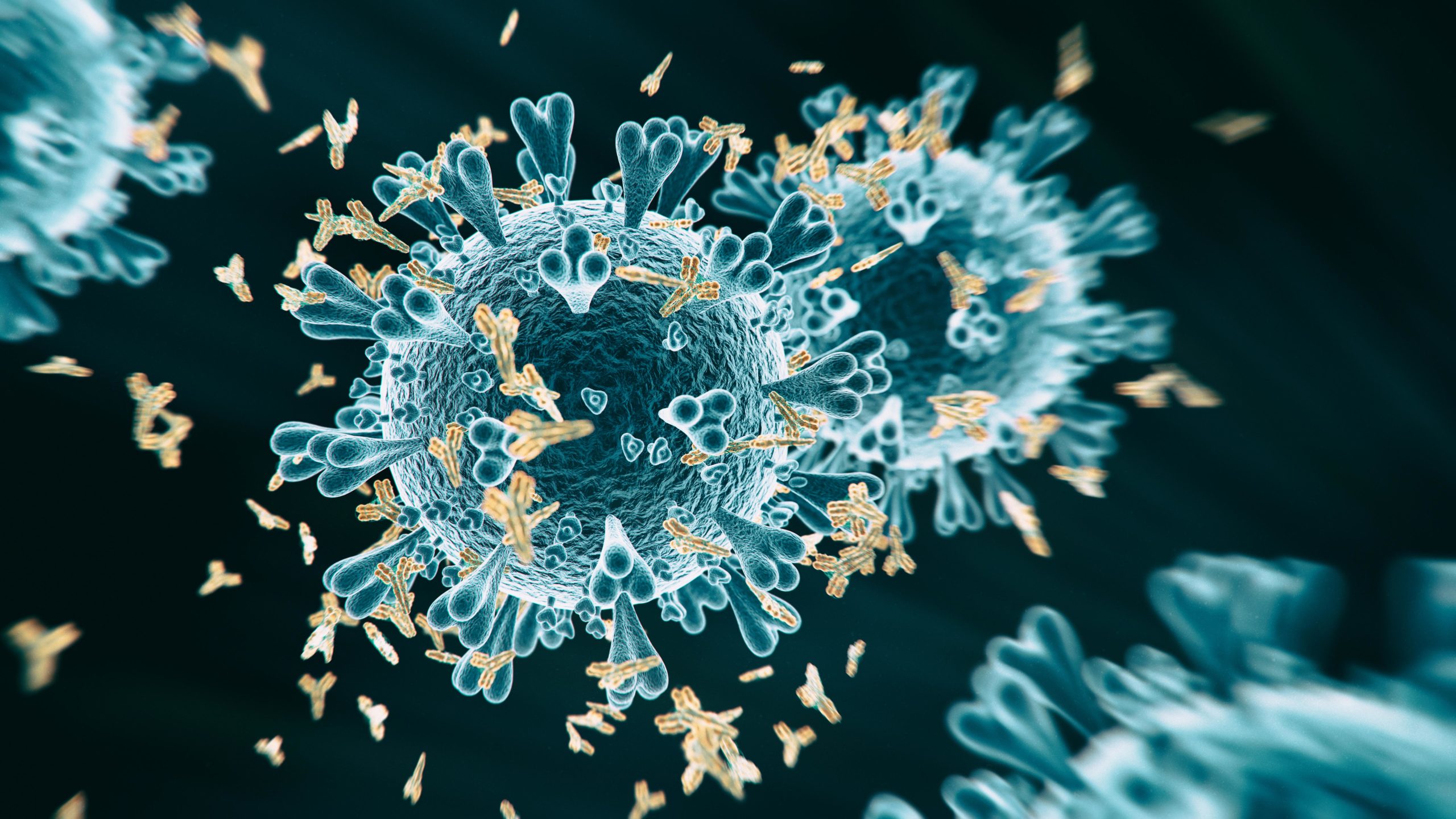 Research Antibodies Market Is Estimated To Witness High Growth Owing To The Increasing Demand For Antibodies In Drug Discovery And Development