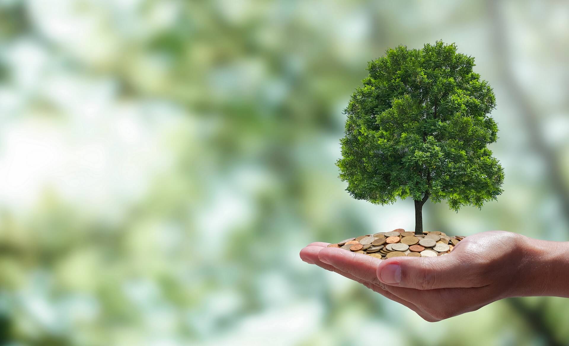 Global Carbon Credits: Towards A Greener Future 