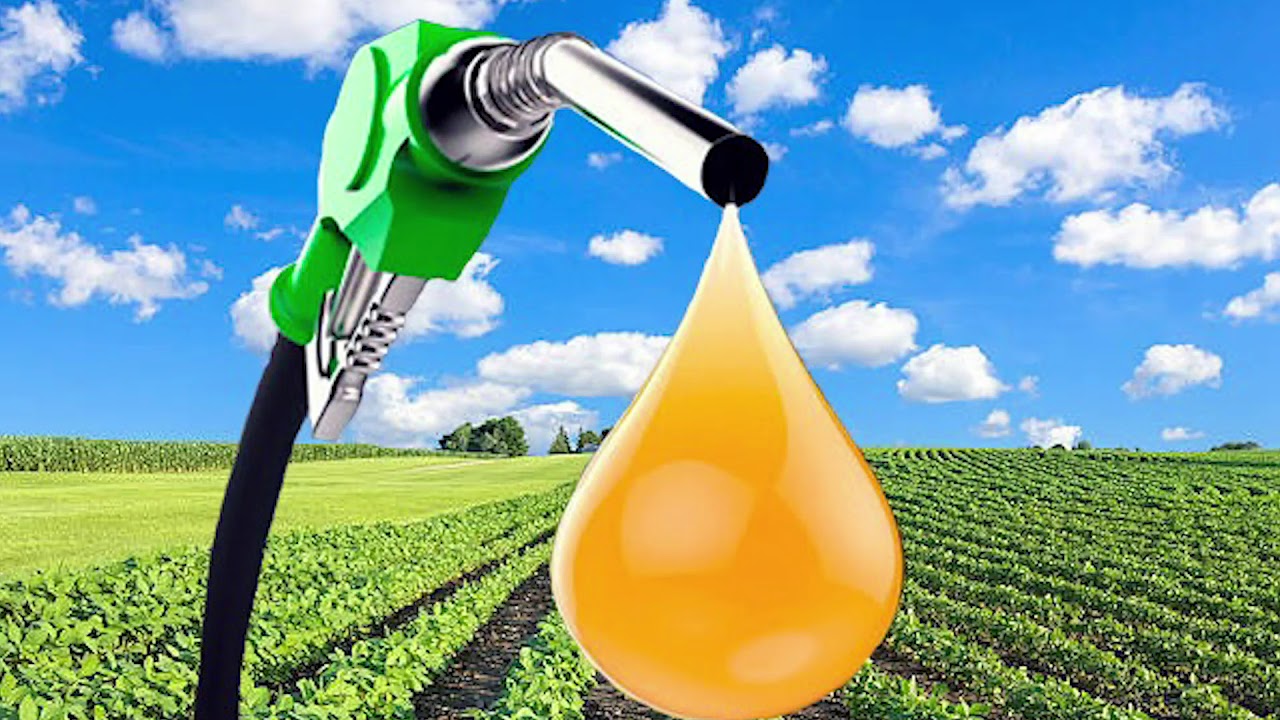 Biofuels: A Viable Alternative to Fossil Fuels 