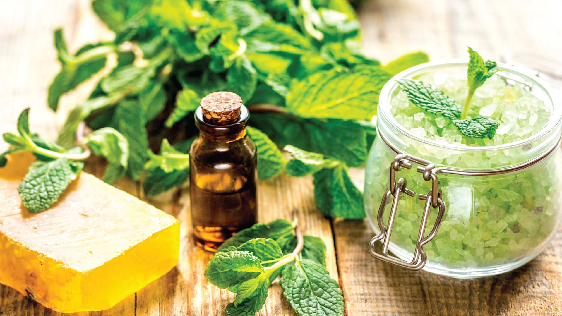 Unveiling The Healing Potential Of Herbal Extract 