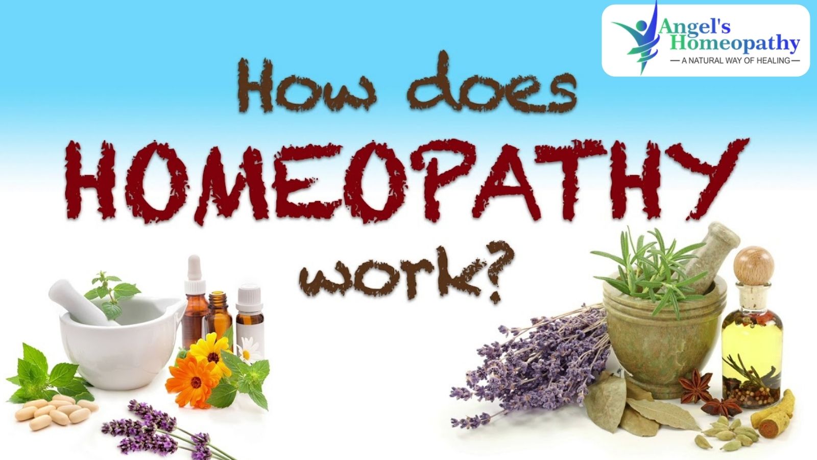 The Working Preparation of Homeopathic Medicines - Angels Homeopathy