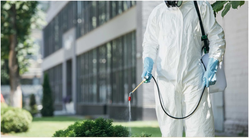 Key Pest Control Strategies in your Commercial Building