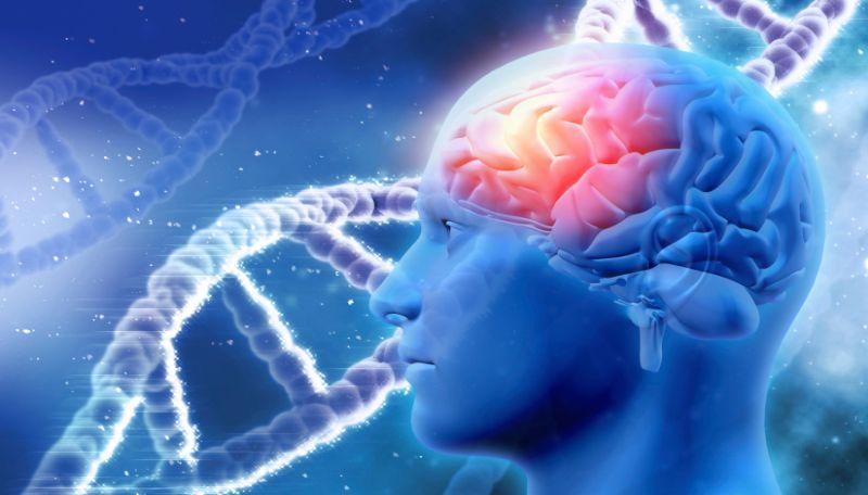 The Shocking Revelation of Recombinant Human Endostatin.