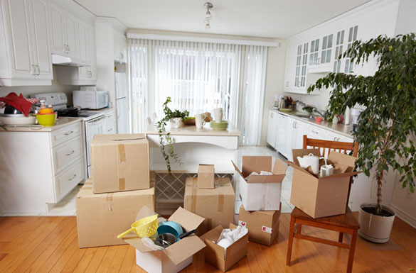 House Removals Adelaide