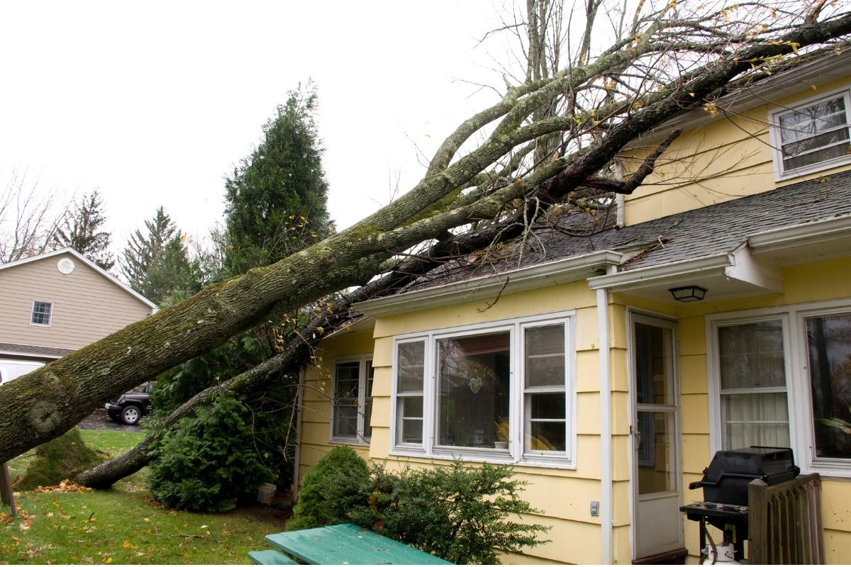 When Should You Call Storm Damage Contractor?
