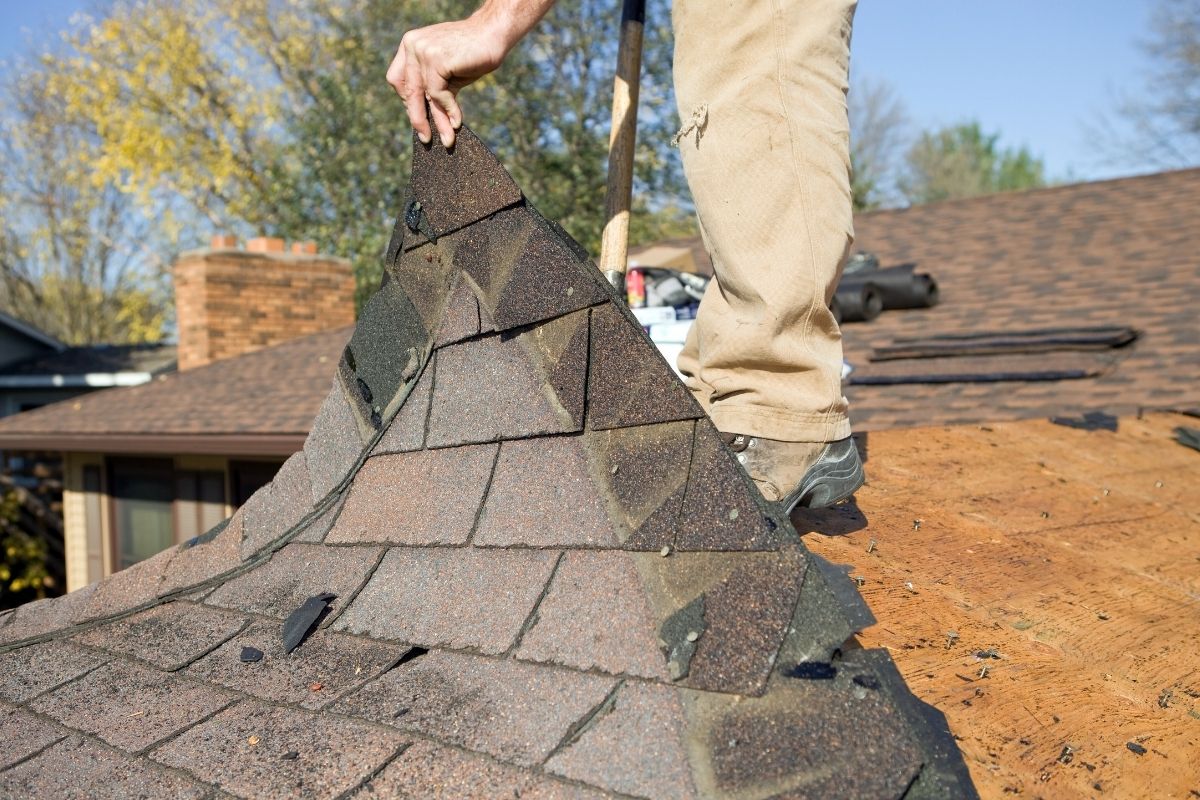 Are You Looking for Shingle Roof Replacement Services?