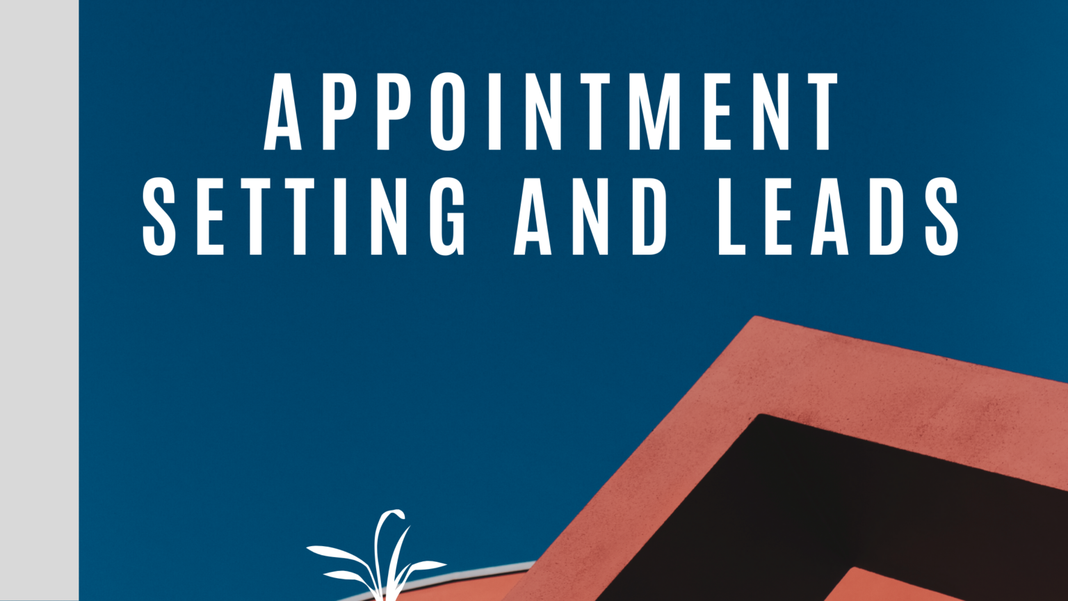 Appointment setting and leads