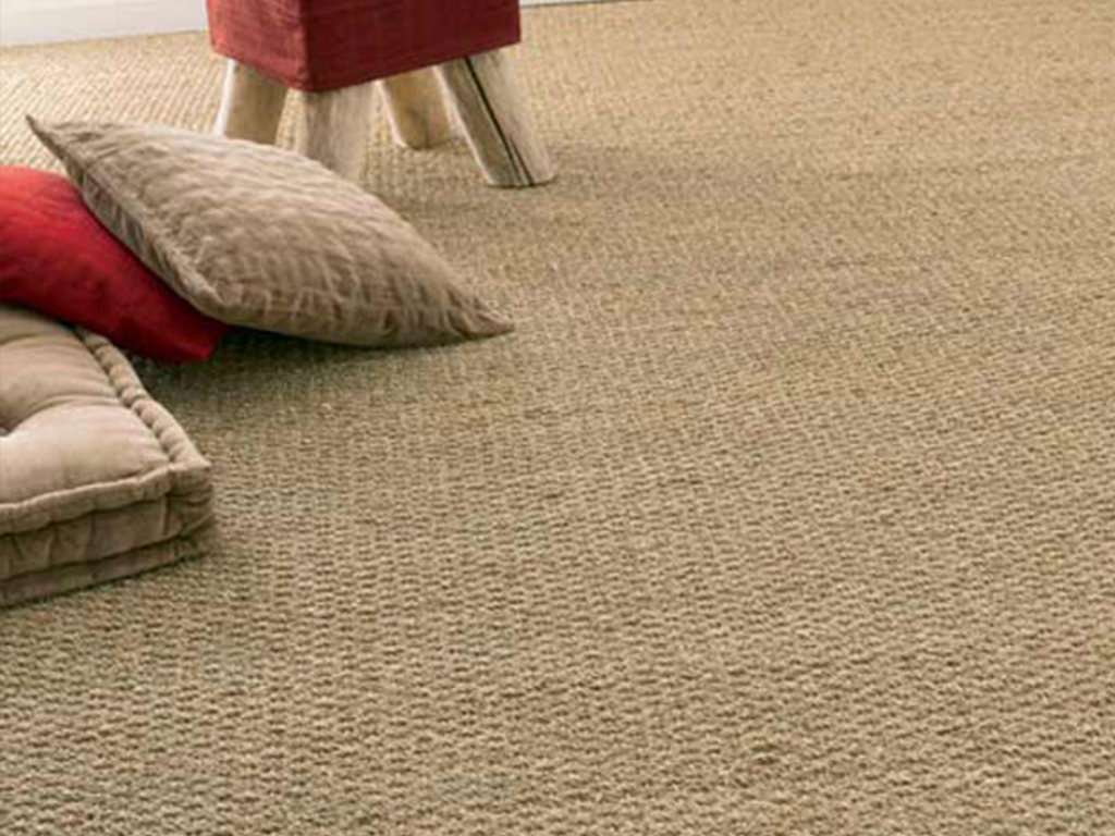 Which One is the Best Choice for Your Home?