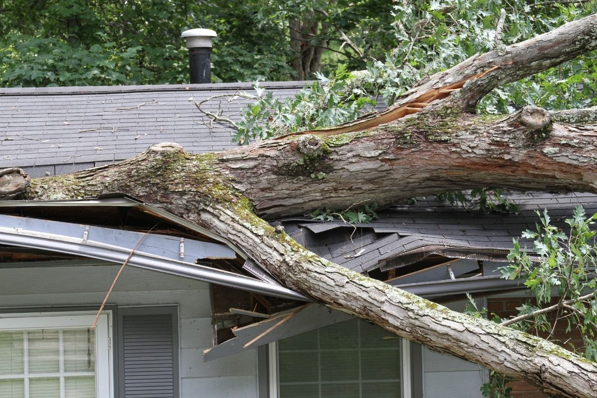 Are You Looking For A Storm Damage Roofer In NJ?