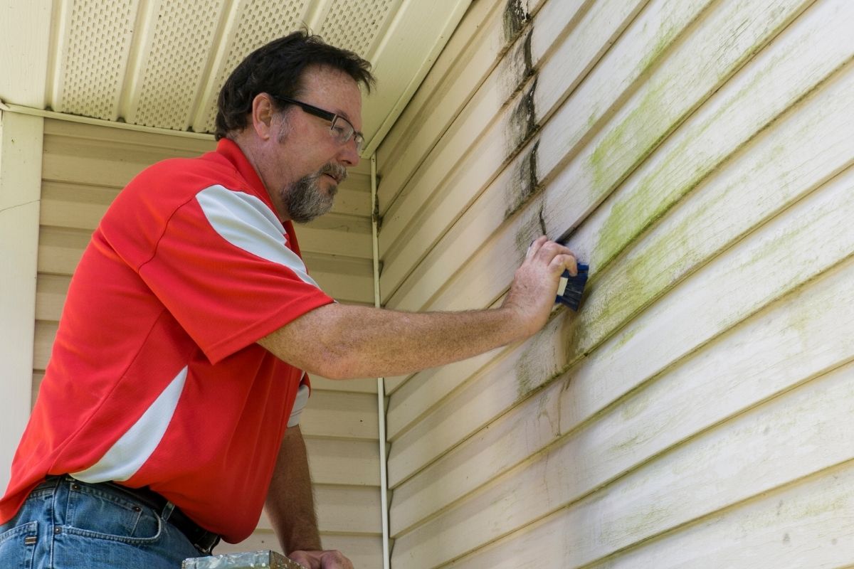 Best Siding Contractors Near Me 