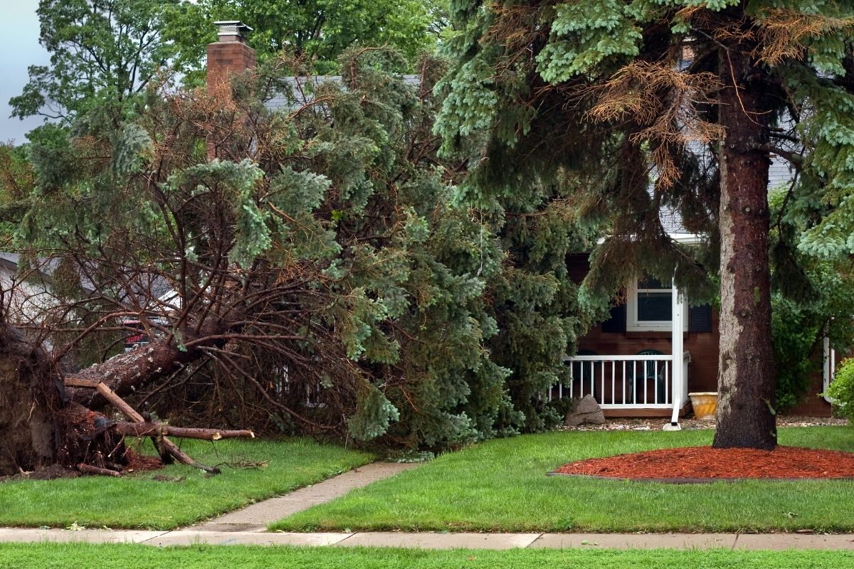 Be careful While Hiring Storm Damage Roofer In New Jersey