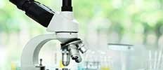 Microscopy Market : Rising Focus on Nanotechnology and Regenerative Medicine