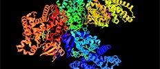 Protein Engineering Market - Global Industry Analysis, Size and Share