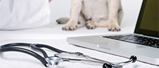The Future of Veterinary Software Market