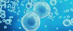Growth In Cell & Gene Therapy Manufacturing Services Market