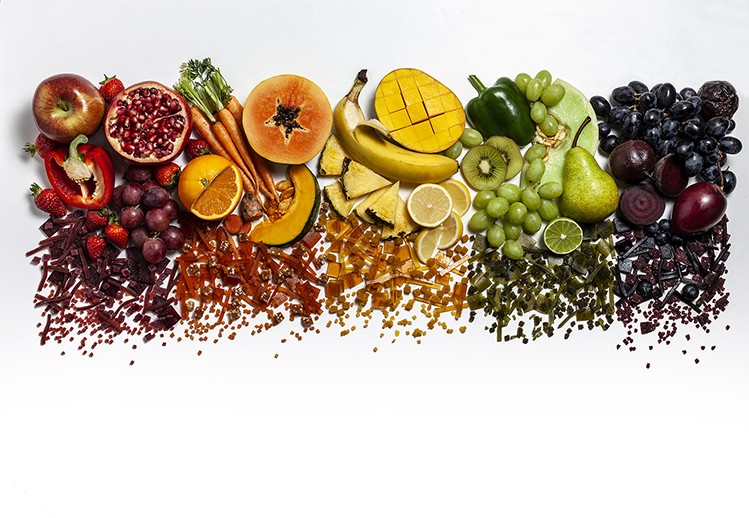 che bien trai cay cho be an dam