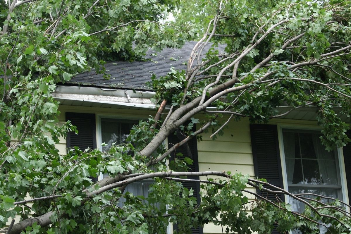 Roof Storm Damage In Tampa Bay, FL