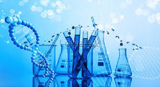 Bupropion Prices Trend and Forecast