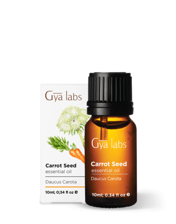 What You Should Know About Carrot Seed Oil.