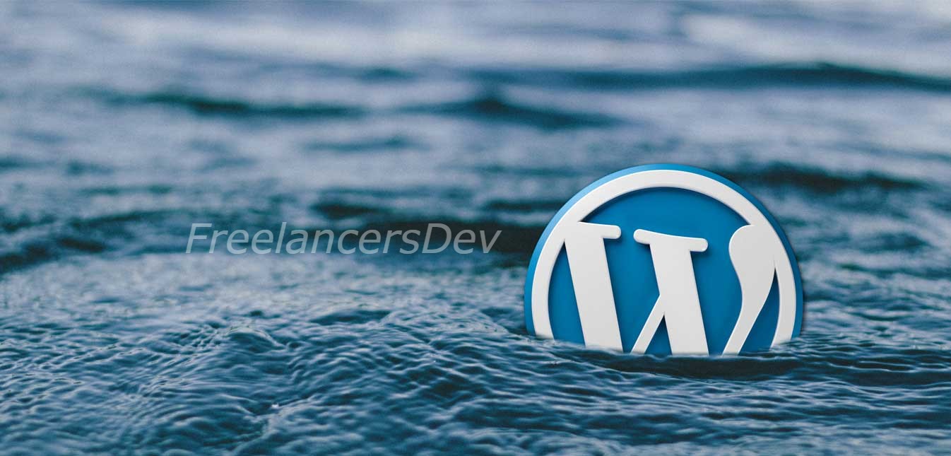WordPress Developer