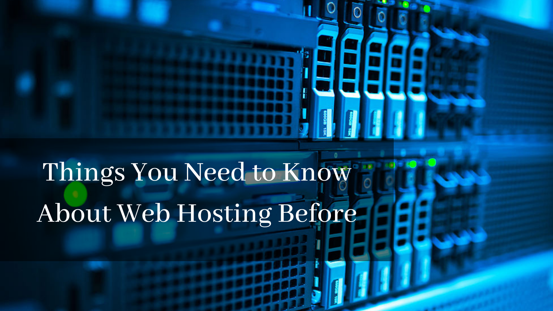 Things To Remember Before Choosing A Web Hosting Company