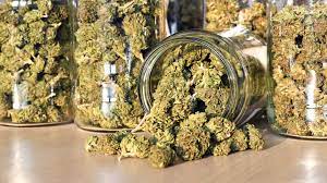 Cannabis Near Me