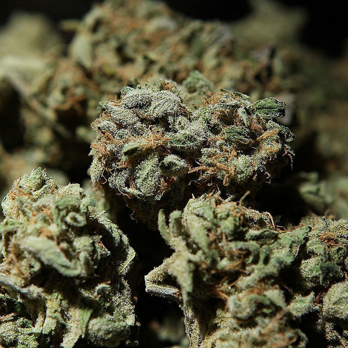 Online Cannabis Delivery