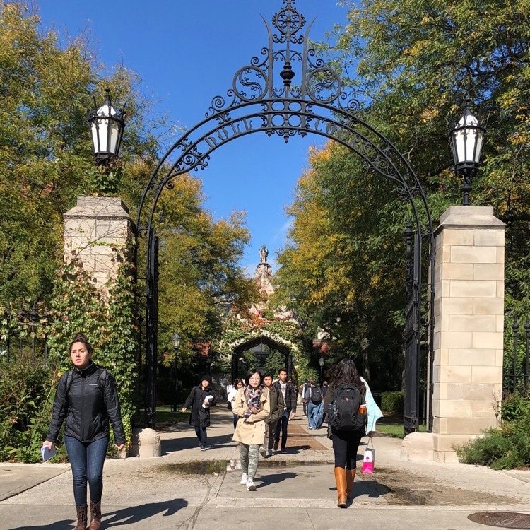 Strategies for College Students