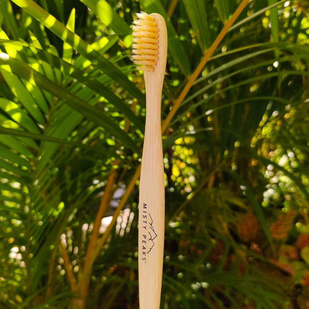 Have You Ever Been Recommended A Bamboo Tooth Brush?