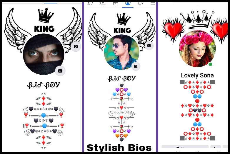 Facebook stylish bio