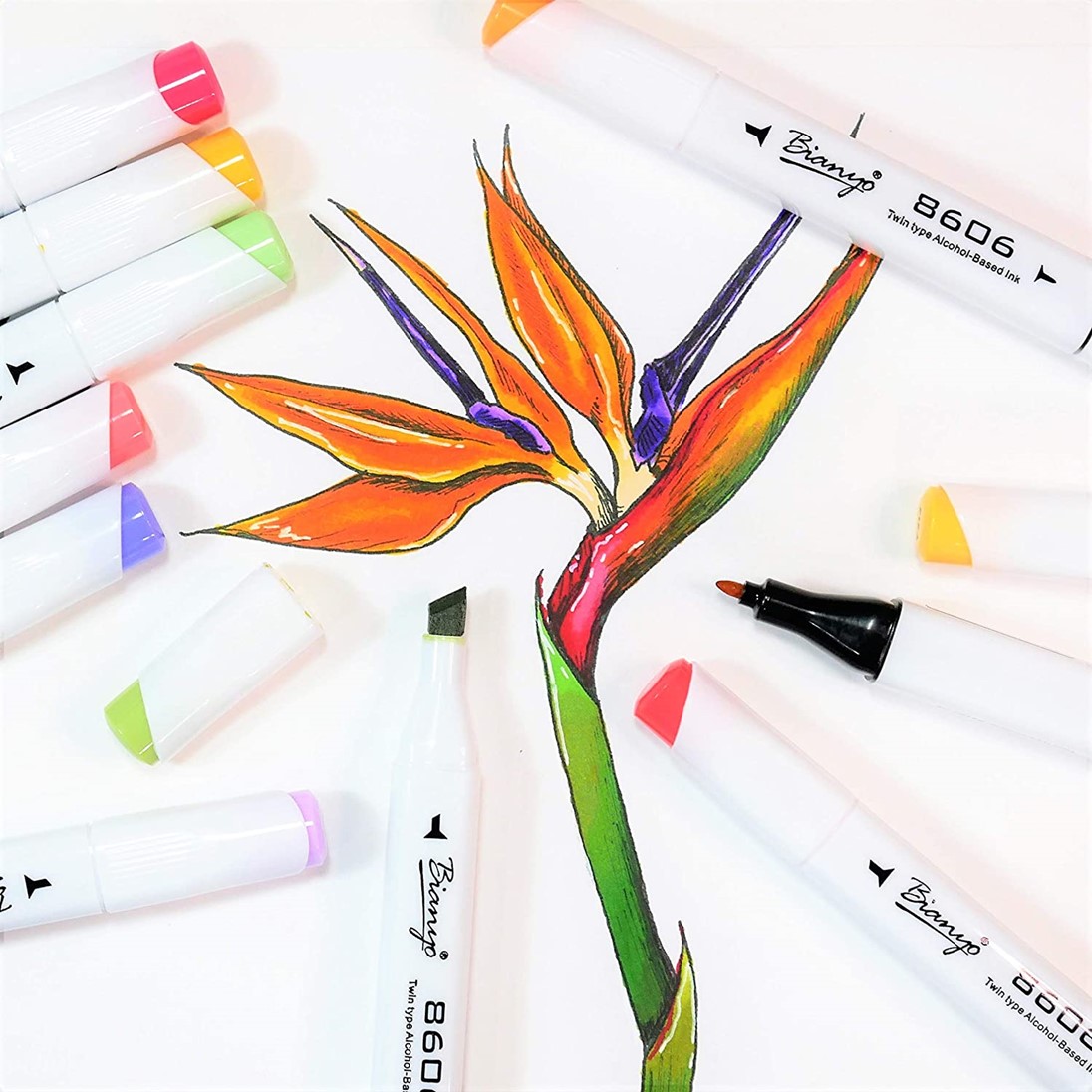 Make Art With Bianyo Markers Dual Tips