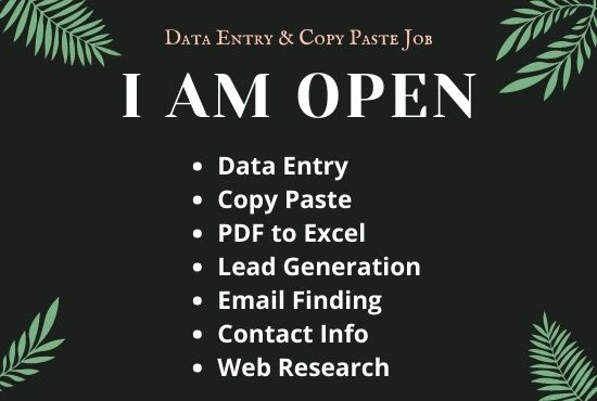 do data entry and copy paste job
