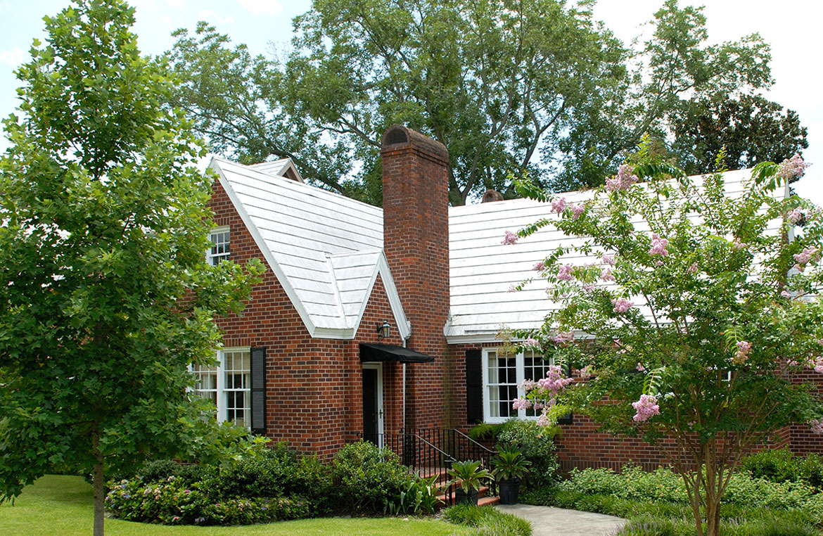 Reactive Tree Care VS. Preventative Tree Care 