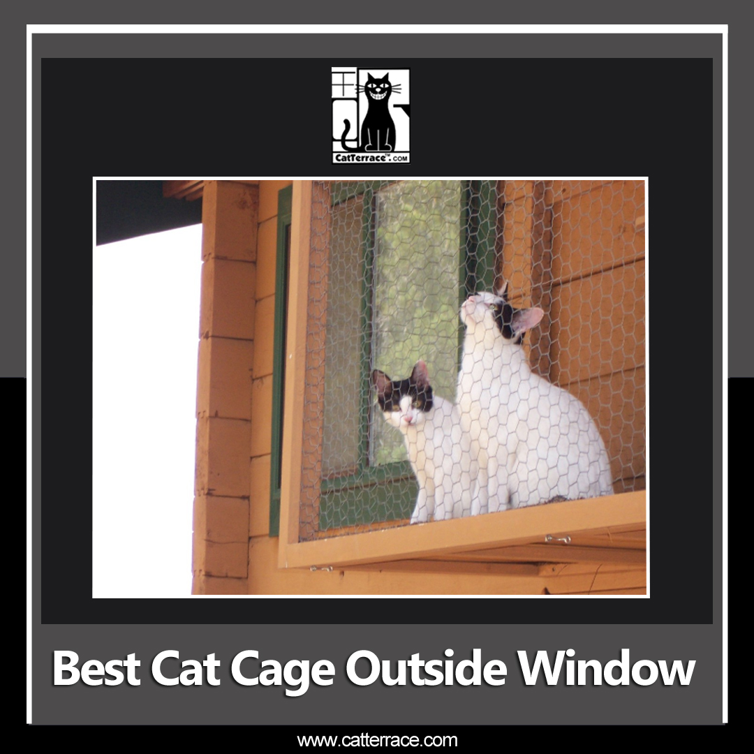 Know Exciting Things About DIY Cat Window Cage!