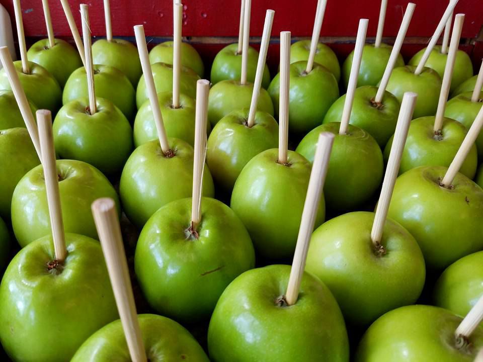 Shop Birthday's Special Caramel Apple in New Orleans
