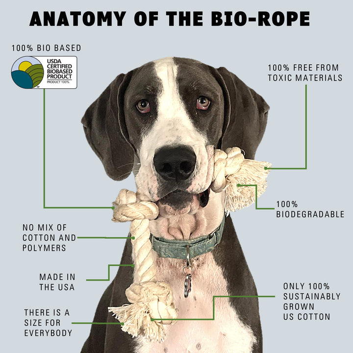 Enjoy a Great Play Time with Rope Toys for Dogs 
