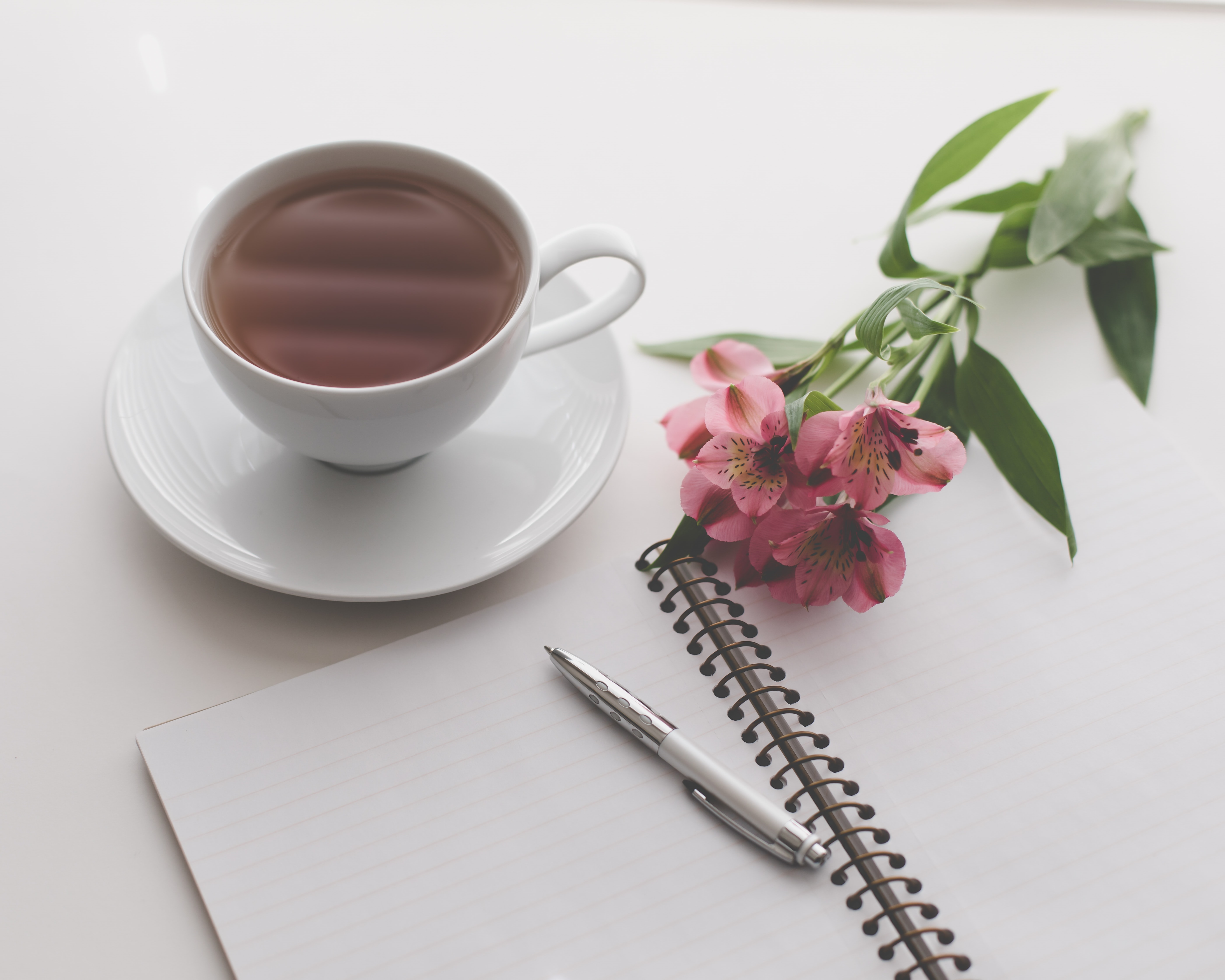 5 Essay Writing Tips to Boost Your Essay Grade Now